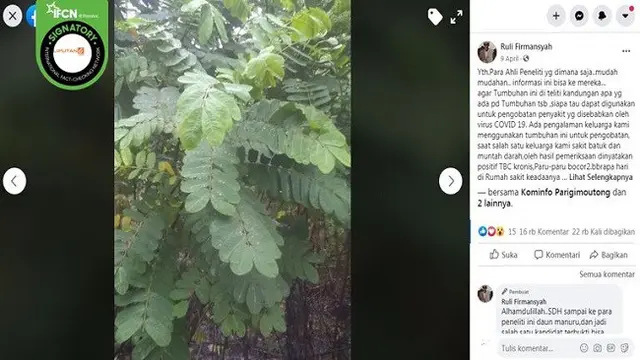Gambar Tangkapan Layar Kabar Hoaks Tentang Virus Corona