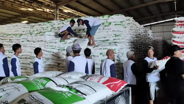 Berkah Kotoran Sapi Bikin Rojai Jadi Petani Mandiri