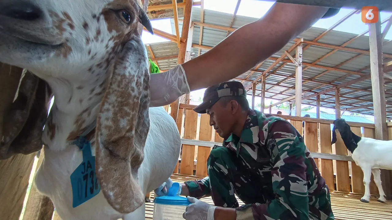 Upaya swasembada pangan inisiasi TNI