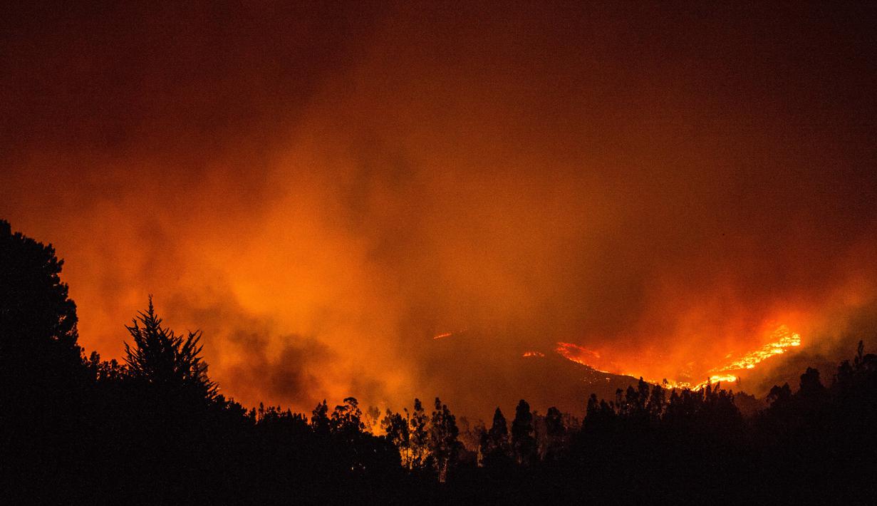 Pandangan udara saat kobaran api melahap hutan di wilayah Santiago, Chile (20/1). Dalam peristiwa ini tidak ada korban jiwa. (AFP Photo/Martin Bernetti)
