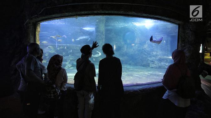 Pengunjung mengamati ikan-ikan di akuarium SeaWorld Ancol, Jakarta, Jumat (17/8). Seaworld menjadi tempat wisata alternatif warga saat libur panjang akhir pekan ini yang bertepatan dengan HUT ke-73 Republik Indonesia. (Liputan6.com/Faizal Fanani)