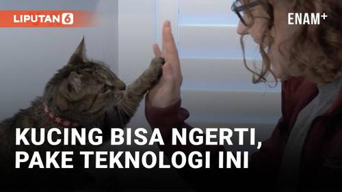 VIDEO: Bikin Kucing Peliharaanmu Bisa "Berbicara!"