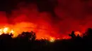 Petugas pemadam kebakaran bersama BPBD Sumatera Selatan terus berusaha memadamkan kebakaran hutan dan lahan di Ogan Ilir, Sumatra Selatan, pada 14 September 2023. (Al ZULKIFLI/AFP)