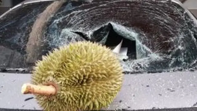 Jatuh di Atas Mobil, Viral Pria Jual Durian Senilai Rp 1,7 Juta Sampai Ditawar Menteri