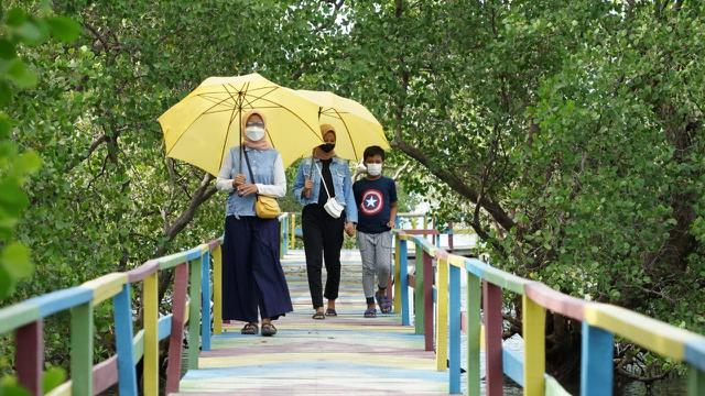 Taman Pendidikan Mangrove