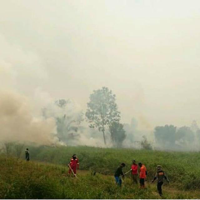 Aktivis Malaysia Asean Harus Atasi Bersama Persoalan Kabut Asap Lintas Batas Global Liputan6 Com