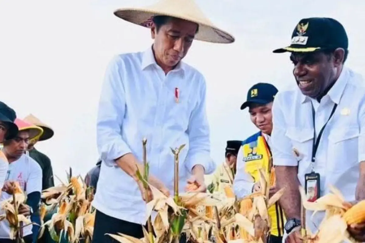 Presiden Joko Widodo (Jokowi) meninjau lokasi pengembangan Food Estate di Kampung Wambes, Kabupaten Keerom, Papua.