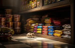 Cara Mencegah Tikus Datang ke Warung (AI)