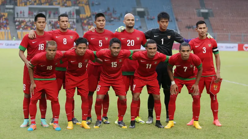 Timnas Indonesia, PSSI, Alfred Riedl