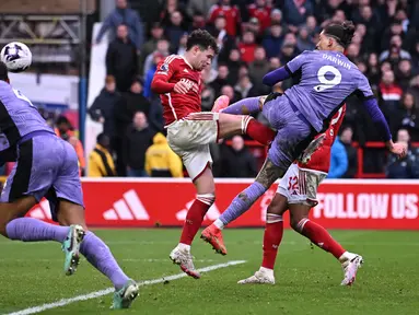 Pemain Liverpool, Darwin Nunez, mencetak gol ke gawang Nottingham Forest pada laga pekan ke-27 Premier League 2023/2024 di City Ground, Sabtu (2/3/2024). Liverpool menang dengan skor tipis 1-0. (AFP/Paul Ellis)