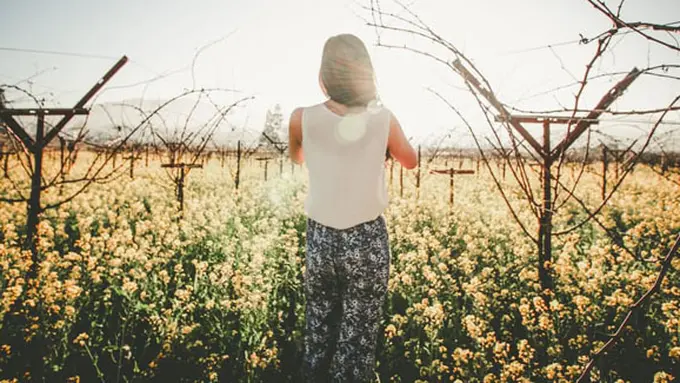 Foto: copyright pexels.com