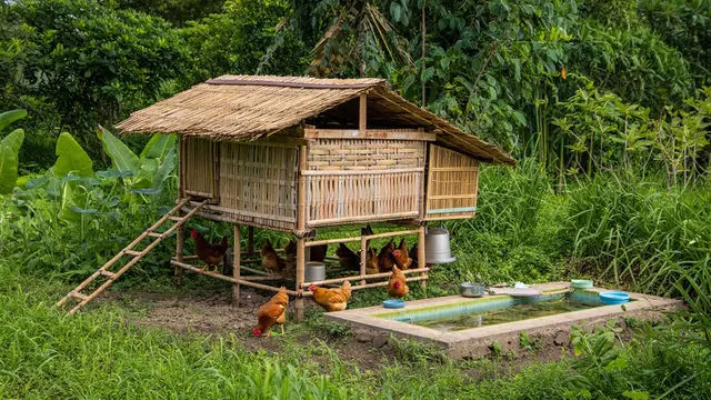 Model Kandang Ayam Bambu Kombinasi Kebun di Lahan 2x3 (Foto: Reve.com)