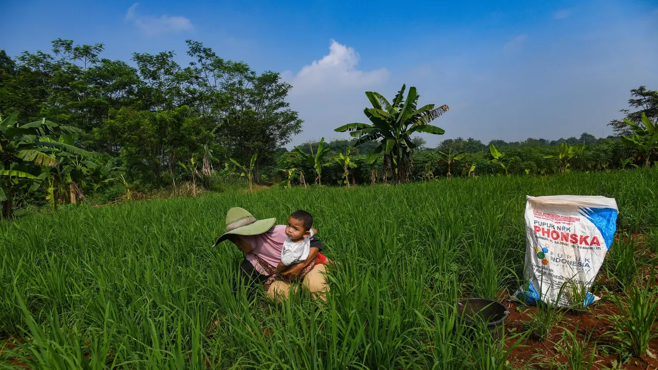 Distribusi Pupuk Subsidi kepada Petani Mulai Lancar
