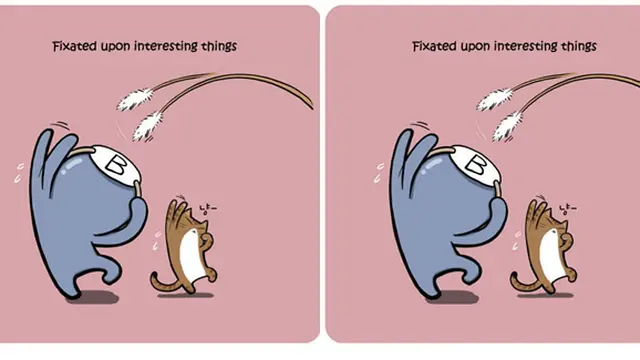 Foto: copyright realcrazyman.blogspot.com