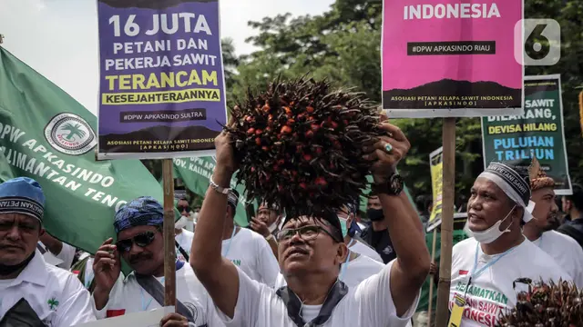 Unjuk Rasa Petani Kelapa Sawit Terkait Larangan Ekspor