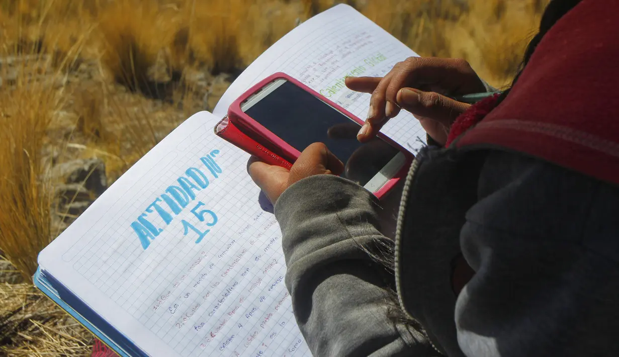 Roxana Cabrera menghadiri kelas virtual dari atas bukit di komunitas dataran tinggi Conaviri yang terpencil di Andes Peru, 24 Juli 2020. Sejak sekolah ditutup akibat COVID-19, Cabrera bersaudara bergantung pada ponsel untuk mengakses platform "Belajar di Rumah".  (Carlos MAMANI/AFP)