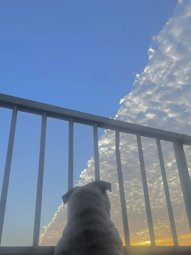 Viral Penampakan Awan Aneh Tutupi Separuh Langit di Jepang, Ini 6 Potretnya