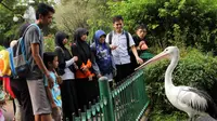 Libur Panjang, Obyek Wisata di Garut Dipenuhi Pengunjung
