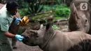 Keeper (perawat satwa) memberi makan Badak Putih (Ceratotherium Simum) di Taman Safari Indonesia, Bogor, Jawa Barat, Jumat (22/1/2021). Seekor bayi Badak Putih lahir di Taman Safari Indonesia pada 26 Oktober 2020 lalu. (merdeka.com/Imam Buhori)