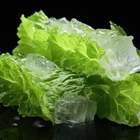 lettuce with ice/copyright freepik/gabrielhrech