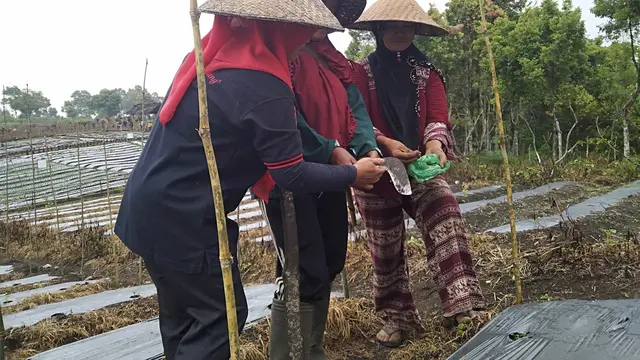 TN Kerinci Seblat
