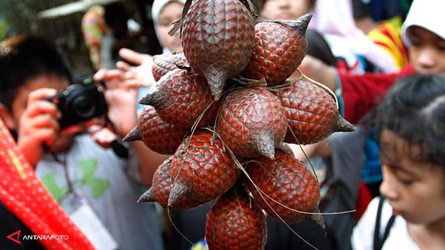 Mudik Ke Kampung Buah Mekarsari Yuk Health Liputan6com