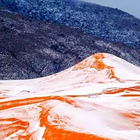 Gurun Sahara turun salju. (Via: boredpanda.com)