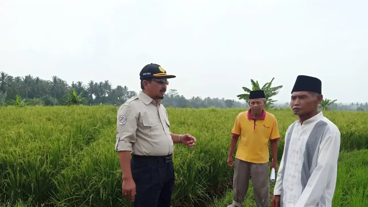 Kementan