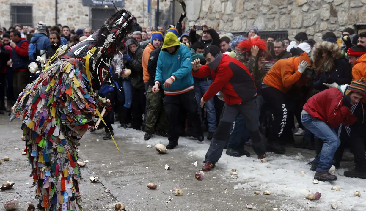 Festival Jarramplas sebuah festival unik masih berlangsung di Spanyol, Selasa (20/1/2015). (Reuters/Sergio Perez)