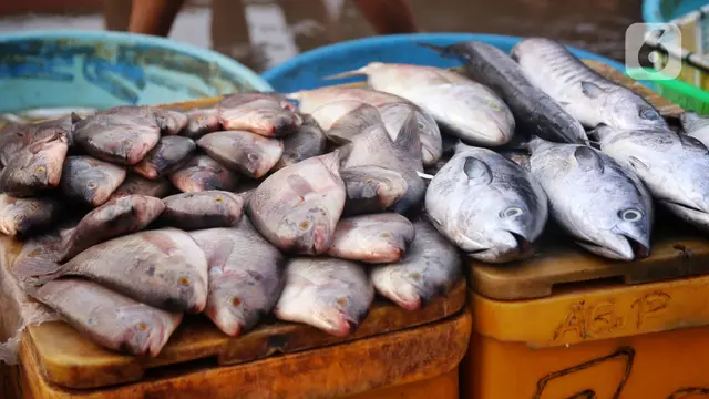 Ketersediaan Ikan Dipastikan Aman Selama Ramadhan Hingga Lebaran