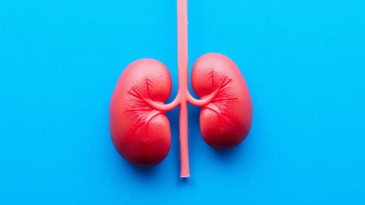 Ginjal Kebanjiran Urine, Kenali Hidronefrosis dari Penyebab hingga Penanganannya