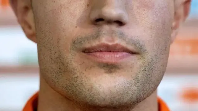 Robin van Persie