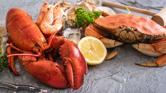Lobster biru