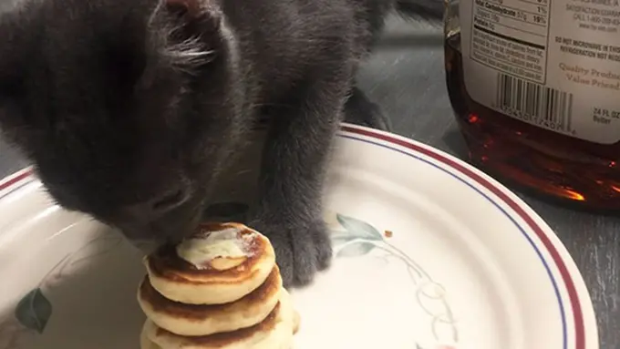 Foto: copyright boredpanda.com