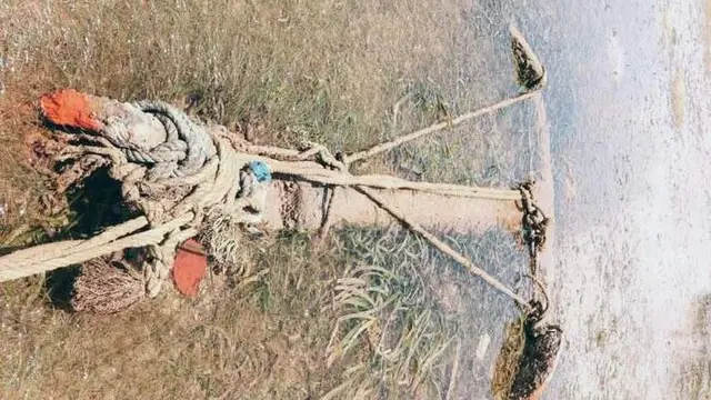 Jangkar
