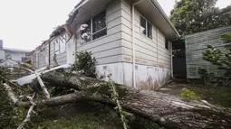 Sebuah pohon tergeletak di tanah setelah tumbang dan menimpa sebuah rumah di Auckland, Selandia Baru, Selasa (14/2/2023). Menteri Manajemen Darurat, Kieran McAnulty mengatakan, badai  badai topan Gabrielle itu berdampak besar di sebagian besar Pulau Utara, Selandia Baru. (Jason Oxenham/New Zealand Herald via AP)