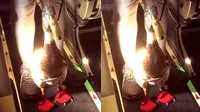 Temani Majikan Naik Pesawat, Bebek Lucu Pakai Sepatu dan Popok