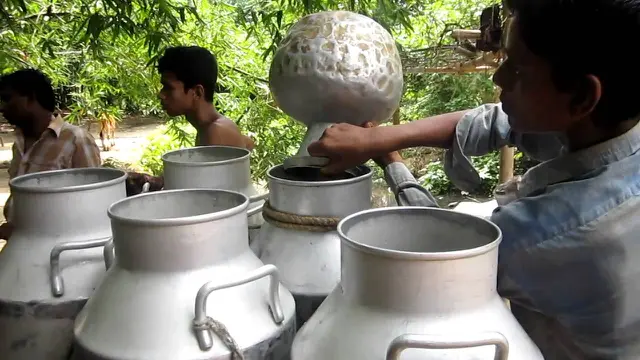 susu kambing di bangladesh