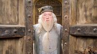 Albus Dumbledore
