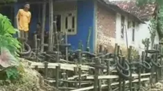 liputan6