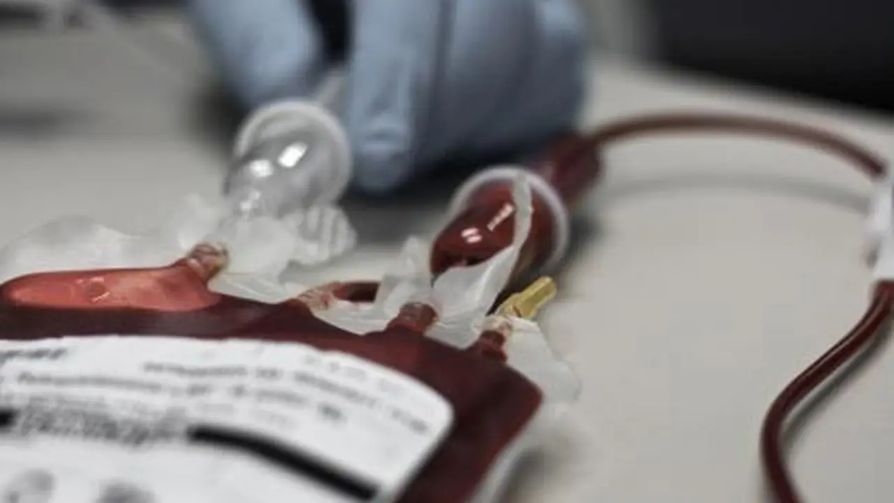 engenal Anemia Aplastik