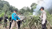 BNN Musnahkan ladang ganja seluas satu hektare di Aceh. (Liputan6.com/Yopi Makdori)