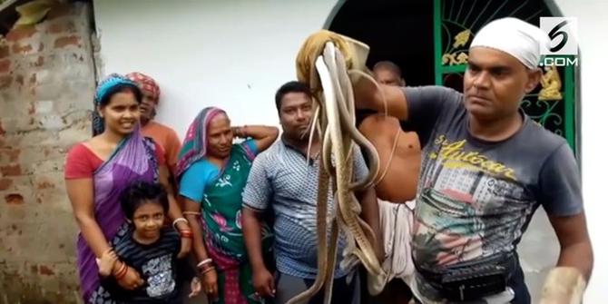 VIDEO: Wow, Pria Ini Tangkap 20 Ular Tanpa Alat Bantu