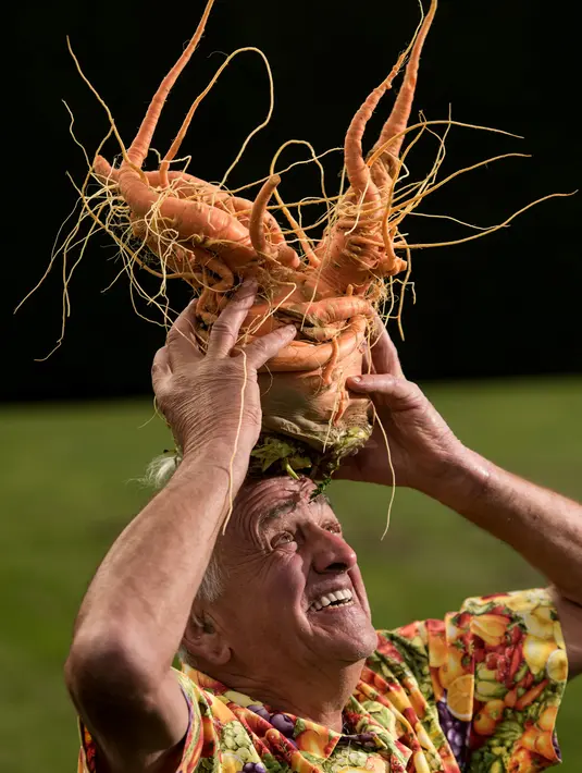 Ian Neale berpose dengan wortel seberat 4,29 kg yang memenangkan kompetisi pada hari pertama Harrogate Autumn Flower Show di Harrogate, Inggris, 14 September 2018. Berbagai macam hasil kebun berukuran raksasa meramaikan acara ini. (AFP/OLI SCARFF)