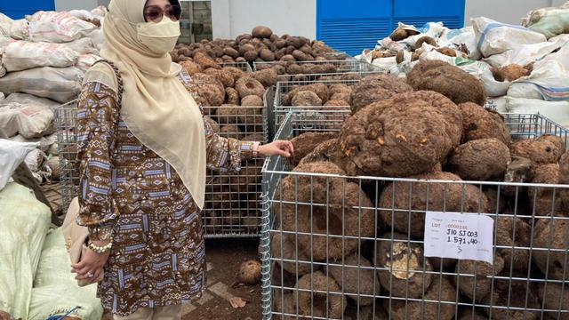 Komisi IV Apresiasi Kementan dan Mendorong Jawa Timur Jadi Produsen Utama Porang