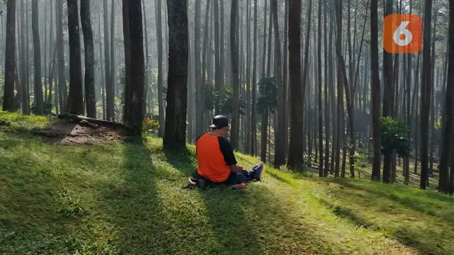 Rekomendasi 6 Tempat Wisata Alam Menarik di Bandung - Regional Liputan6.com