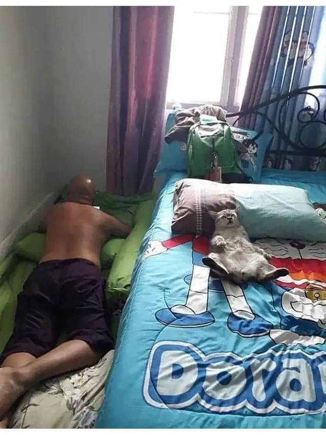 6 Potret Kompak Orang dan Kucing Saat Tidur Ini Bikin Gemas