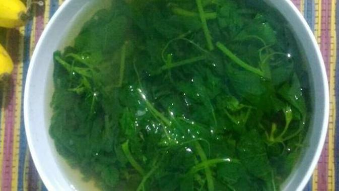 Resep Cara Membuat Sayur Bening Bayam Kemangi Enak Banget Lifestyle Fimela Com
