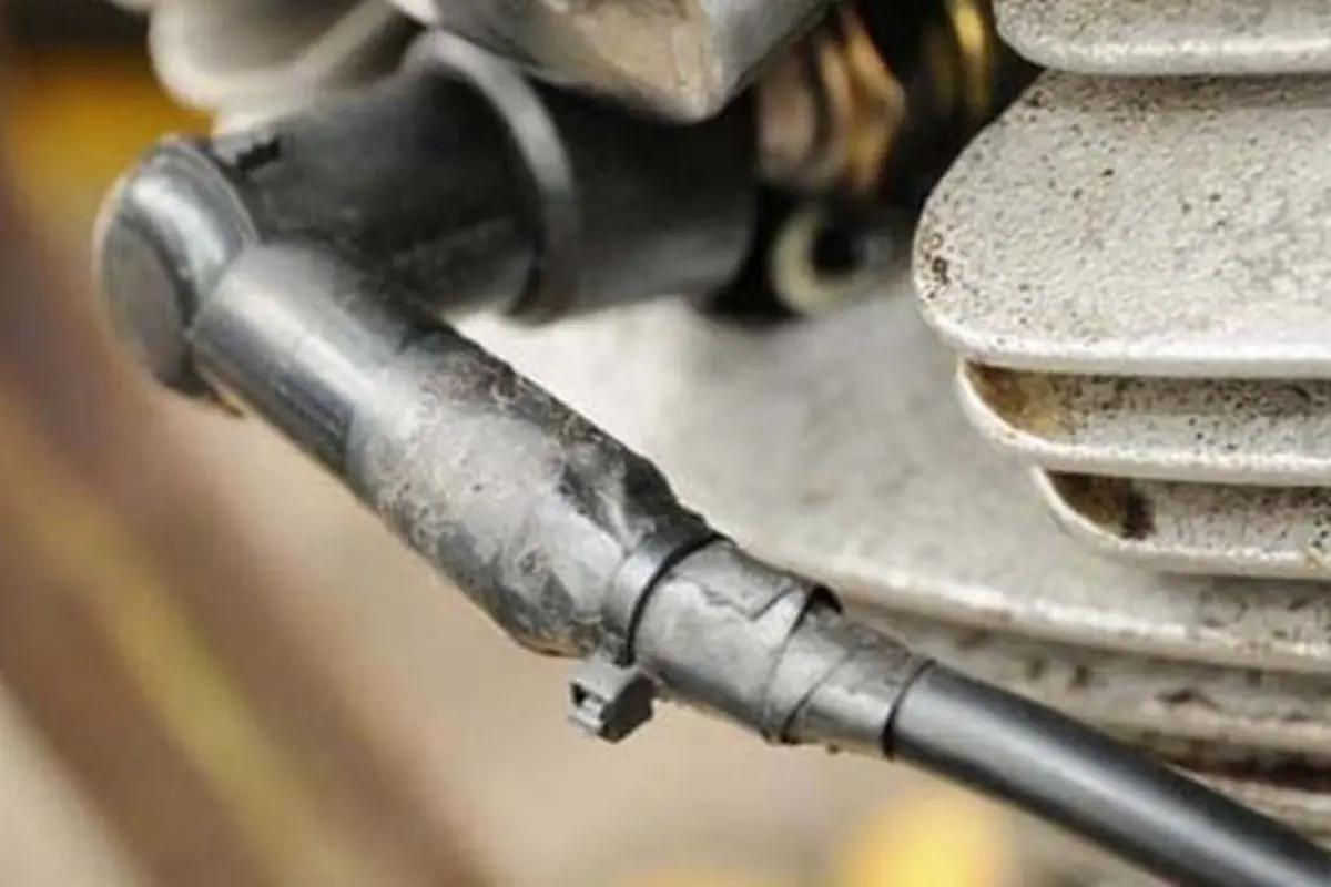 Busi Motor