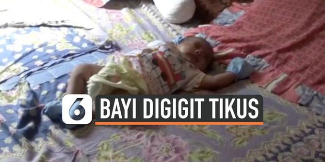 VIDEO: Bayi Digigit Tikus, Warga Pasir Jambu Bogor Resah